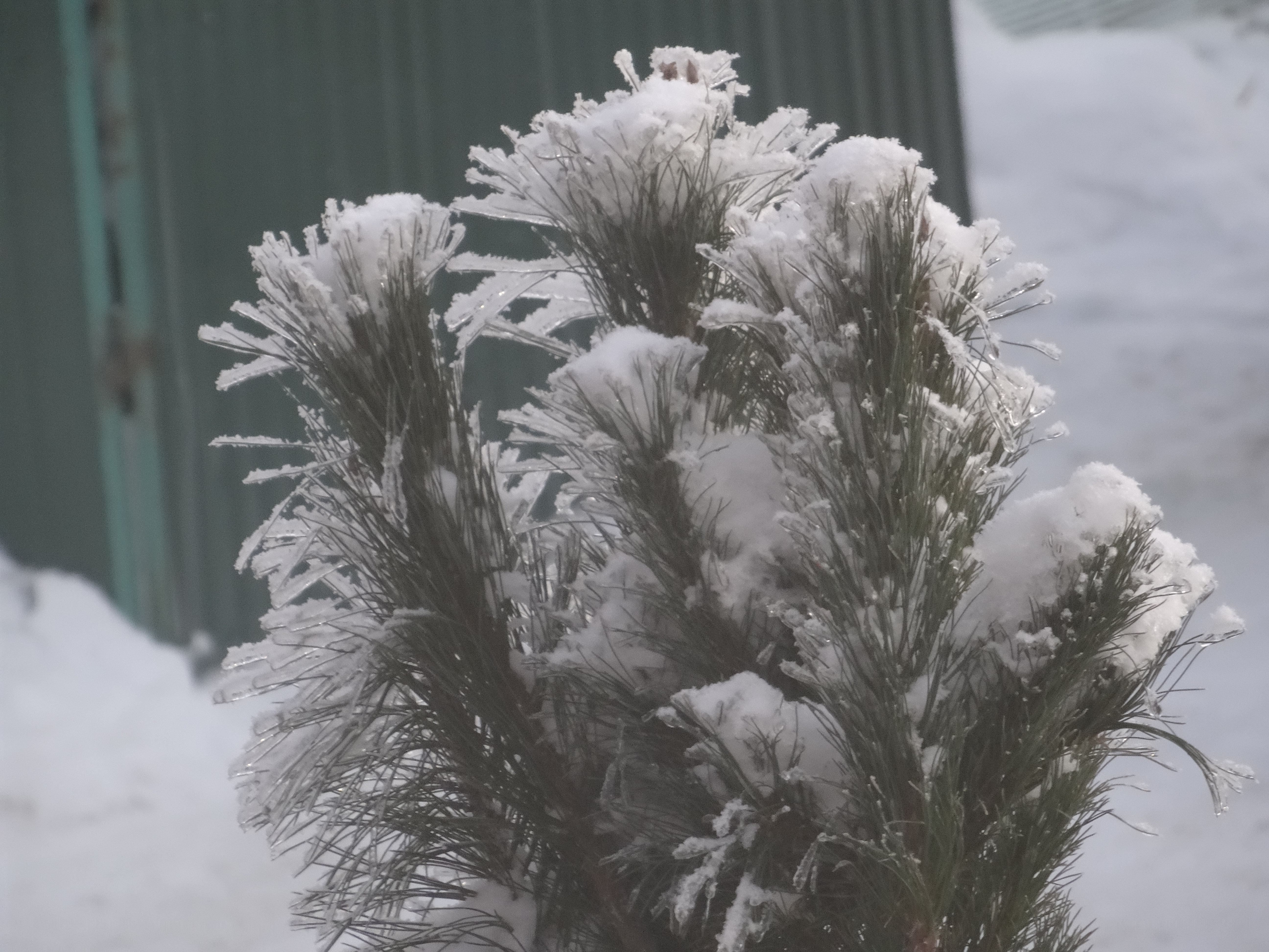 ранним утром